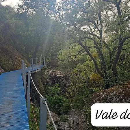 Daire Estrela De Carvalha