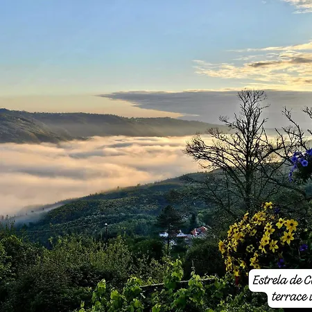 Estrela De Carvalha Daire